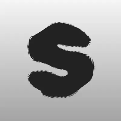 Shic, магазин женской обуви, лого-визитка